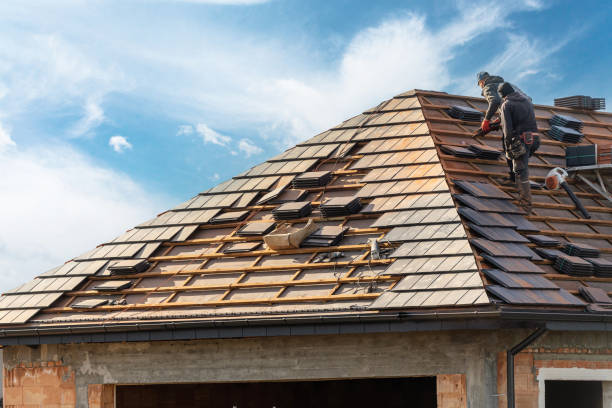 Best Asphalt Shingle Roofing  in Freeland, MI