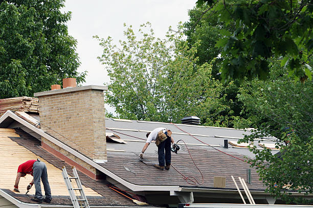 Best Roof Ventilation Installation  in Freeland, MI