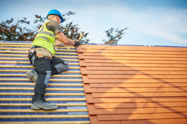 Best Roof Moss and Algae Removal  in Freeland, MI